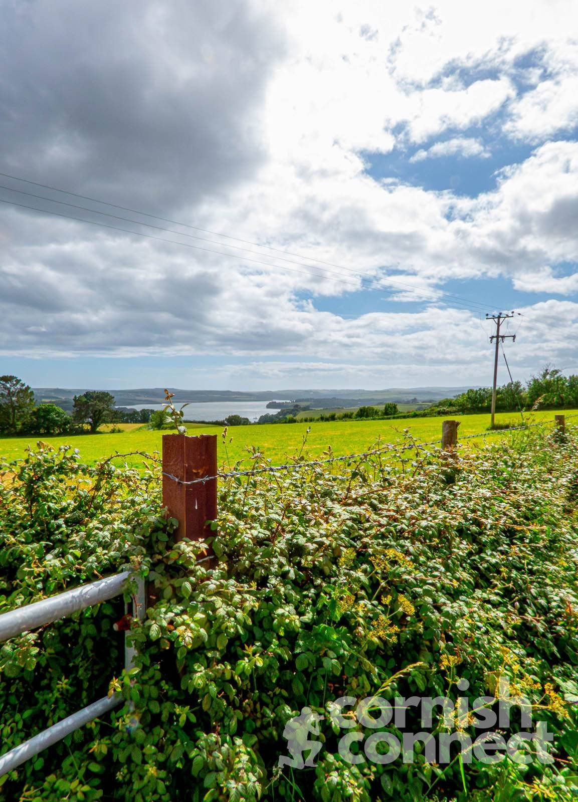 Home to Community Centre then to the Farm