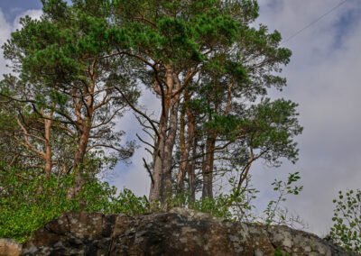Kristiansand German Bunkers